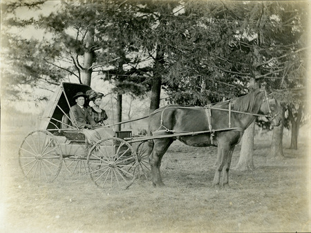 Young couple in buggy